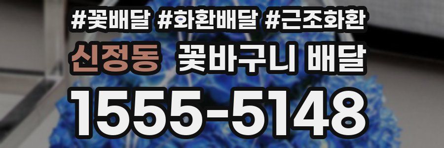 신정동 꽃바구니 배달