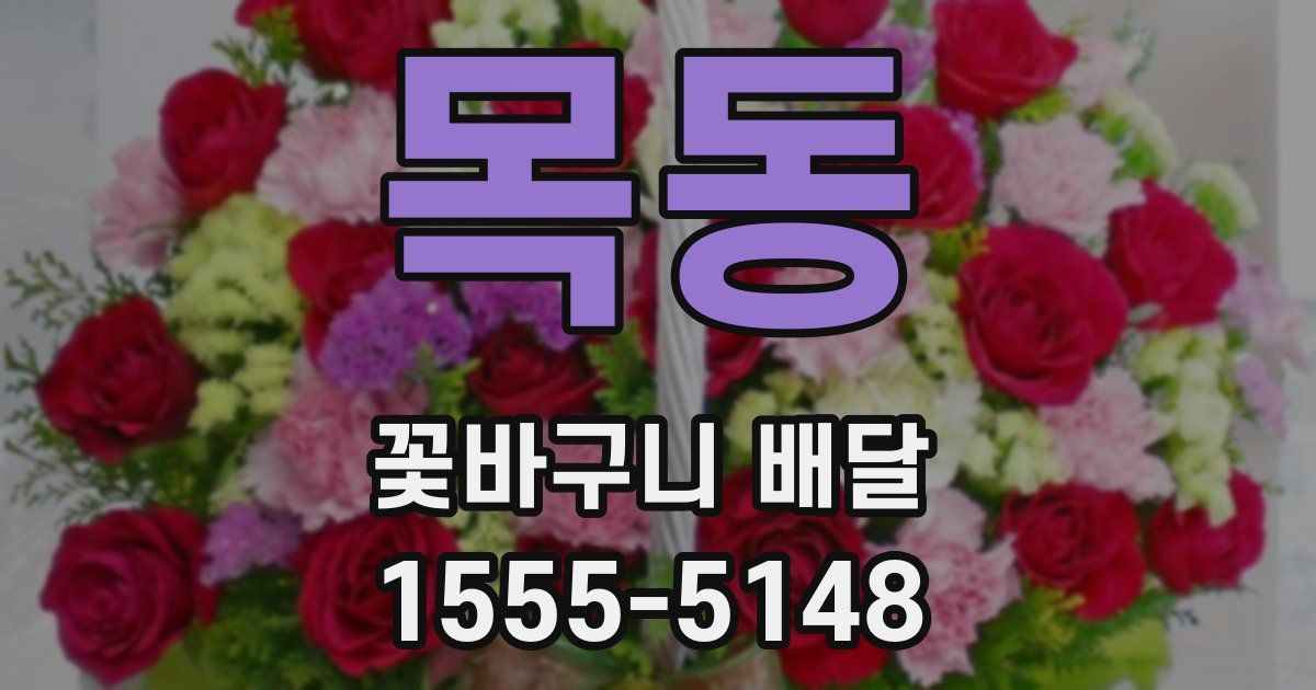 목동 꽃바구니 배달