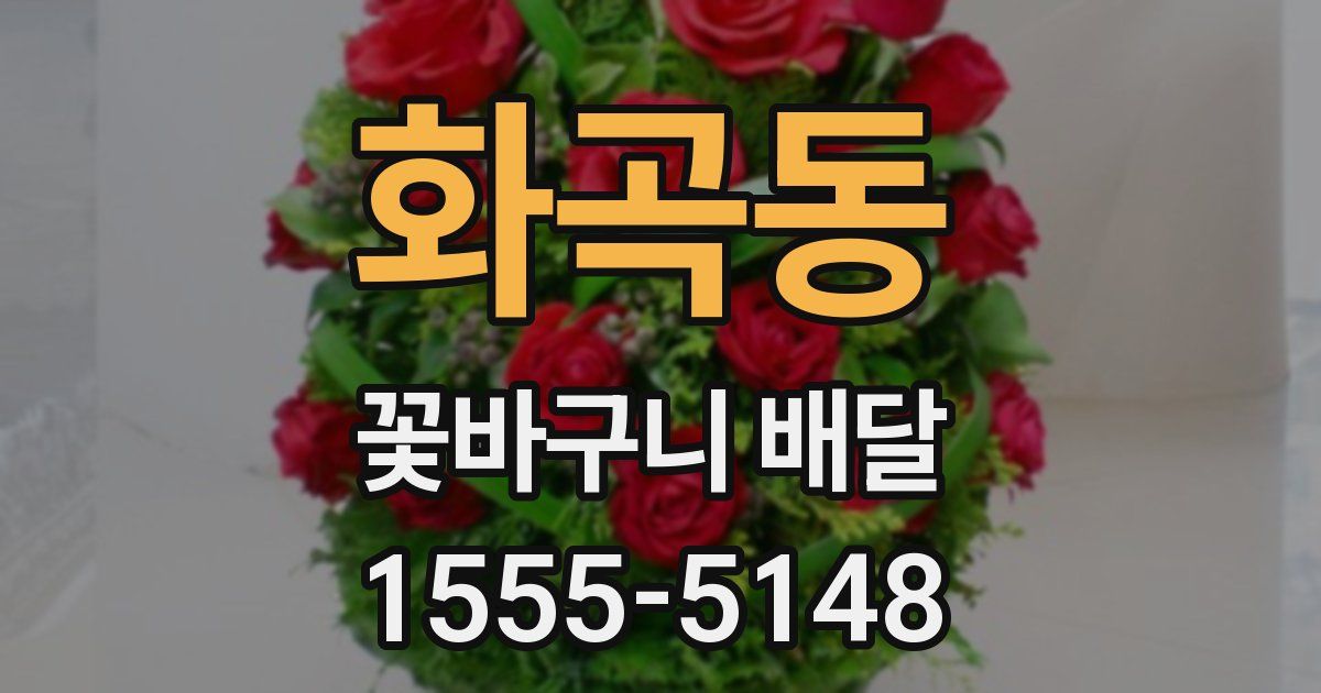 화곡동 꽃바구니 배달