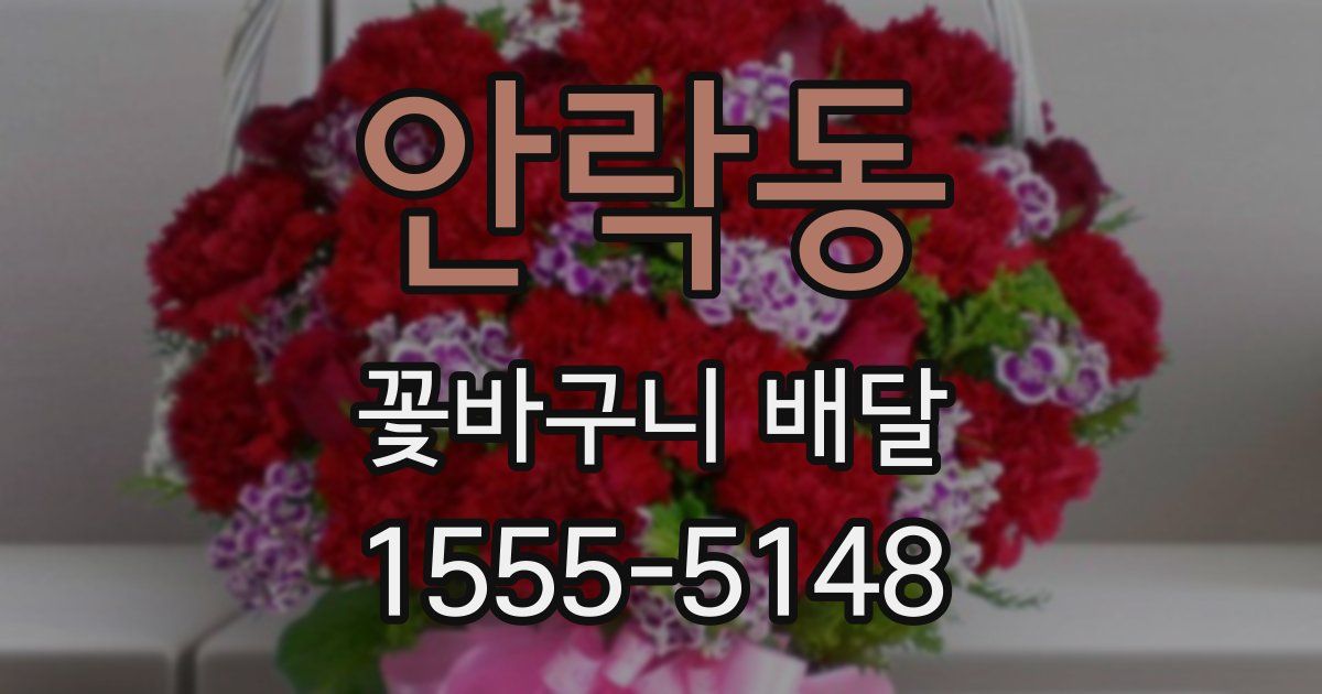안락동 꽃바구니 배달