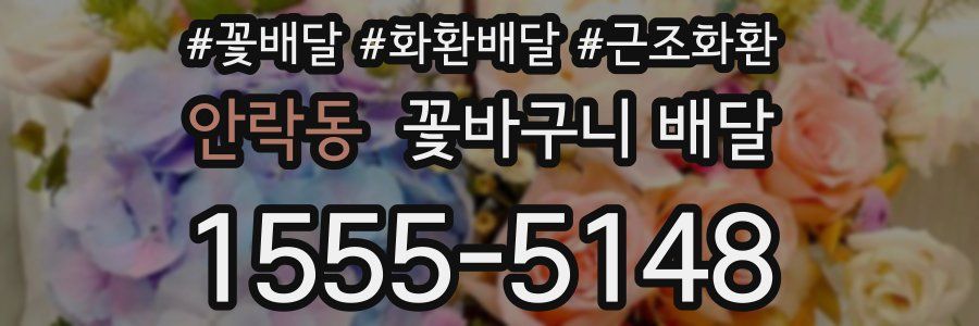 안락동 꽃바구니 배달