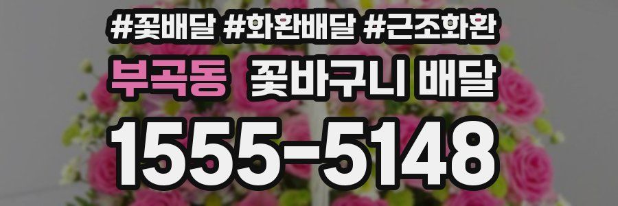 부곡동 꽃바구니 배달
