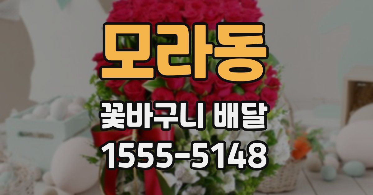 모라동 꽃바구니 배달