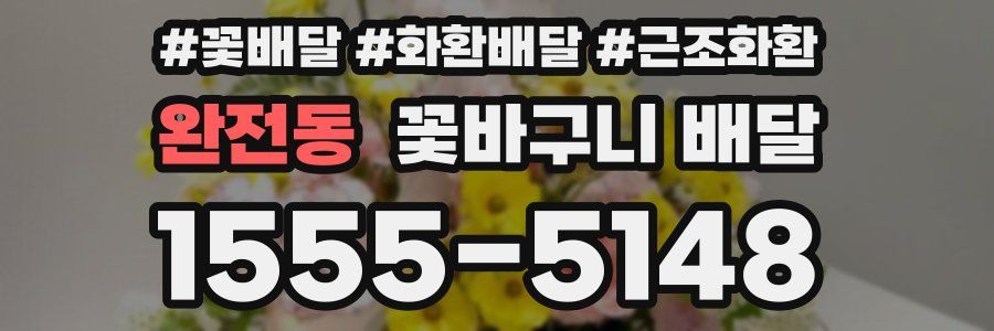 완전동 꽃바구니 배달