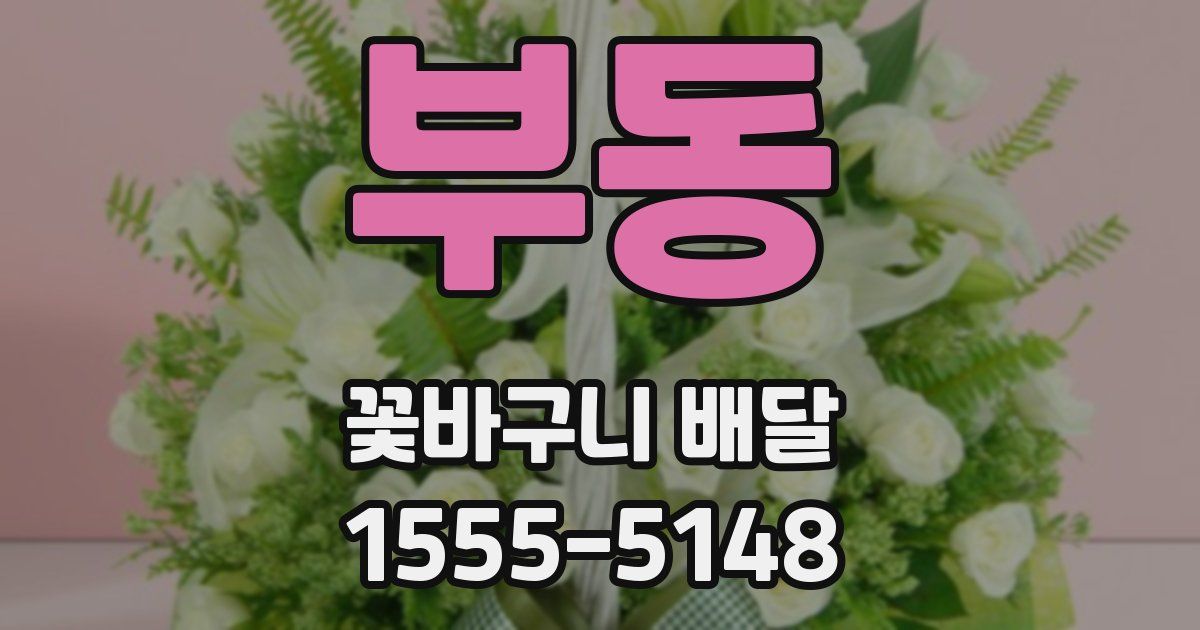 부동 꽃바구니 배달
