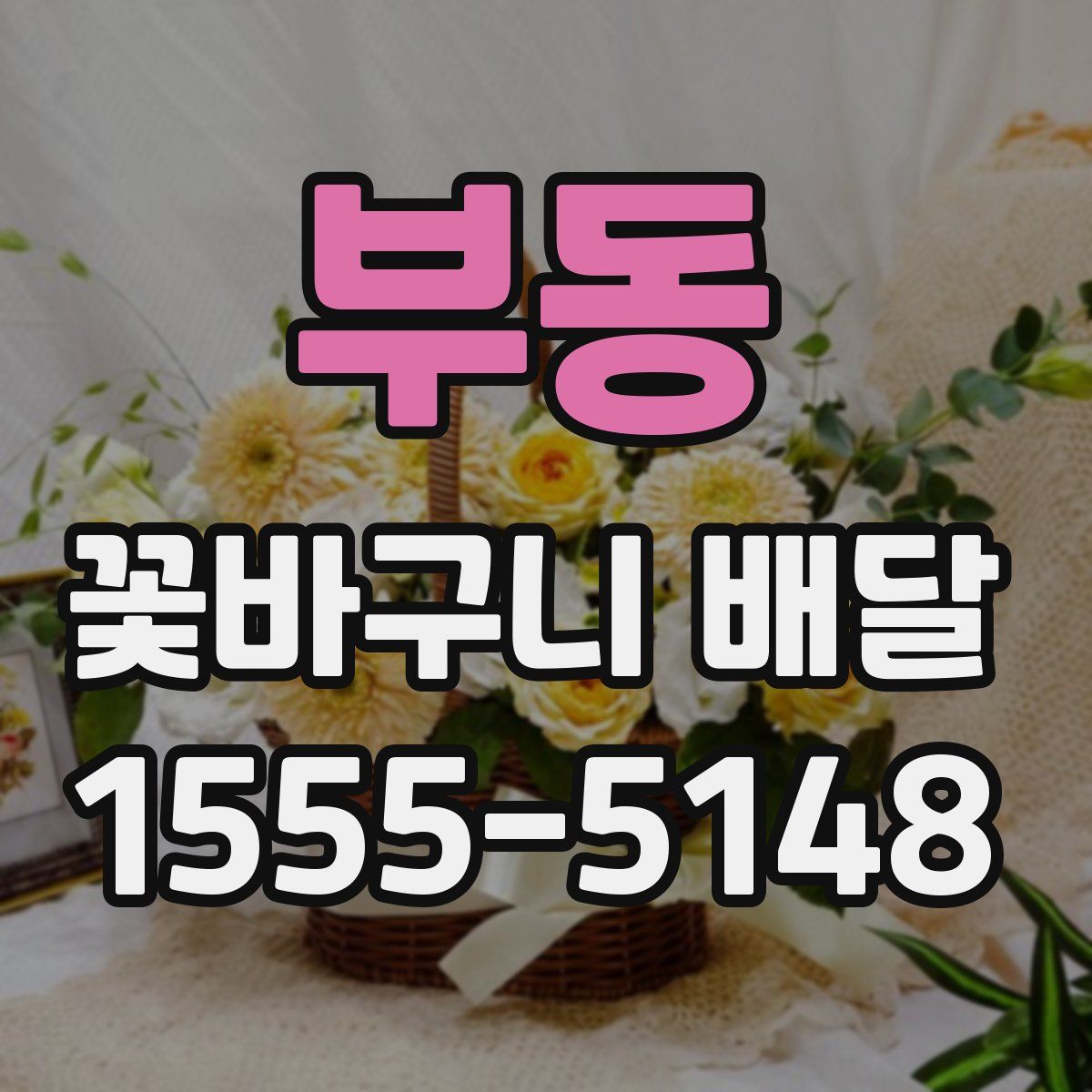 부동 꽃바구니 배달