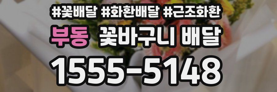 부동 꽃바구니 배달