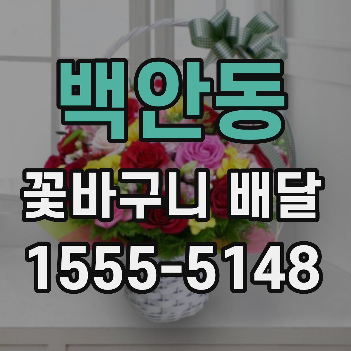 백안동 꽃바구니 배달