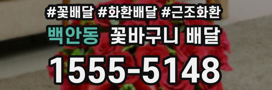백안동 꽃바구니 배달