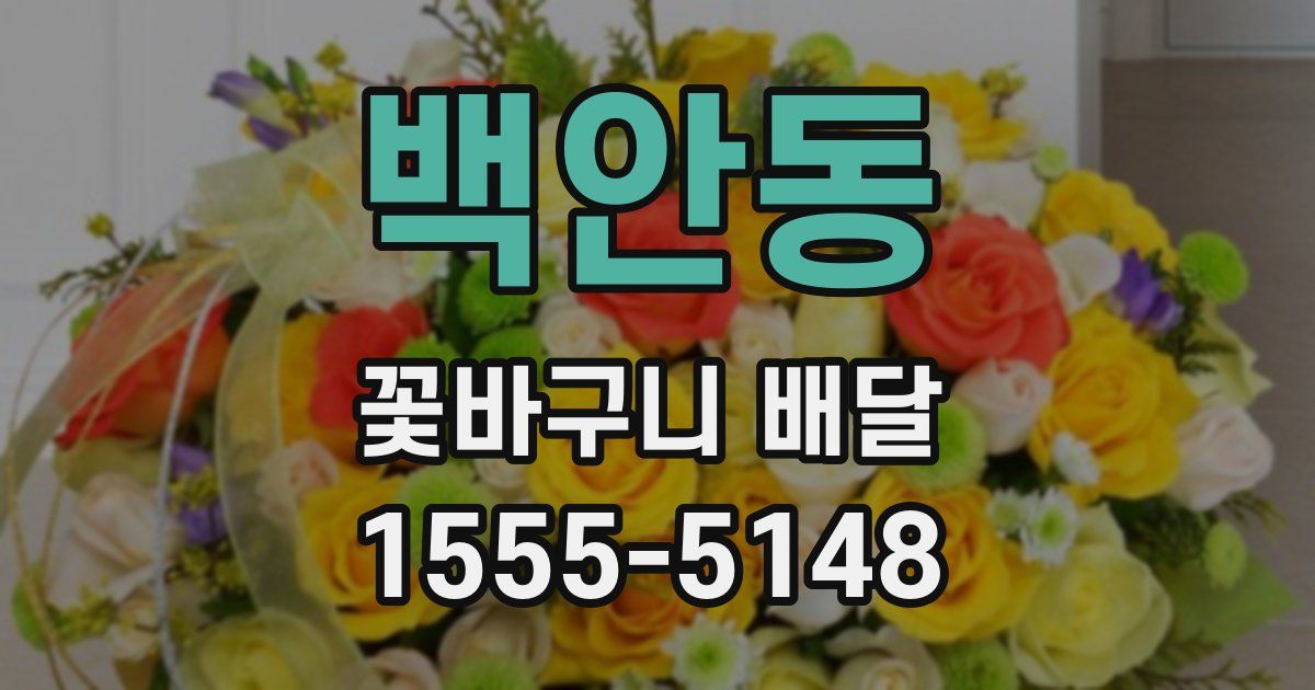 백안동 꽃바구니 배달