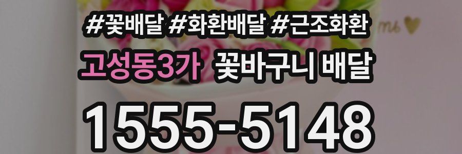 고성동3가 꽃바구니 배달