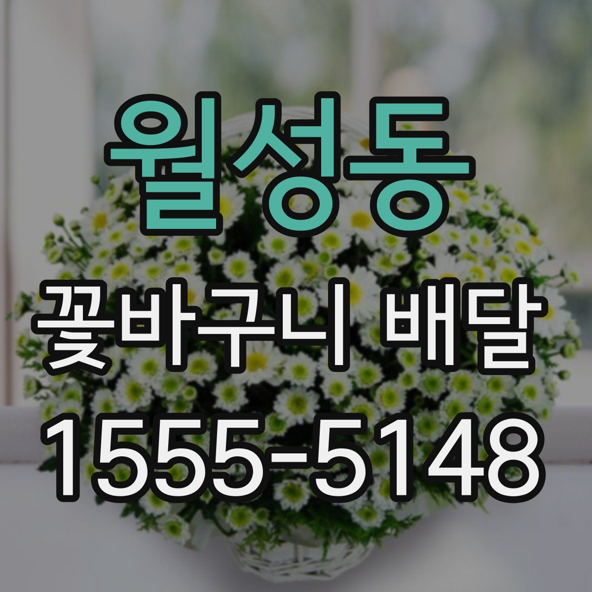 월성동 꽃바구니 배달