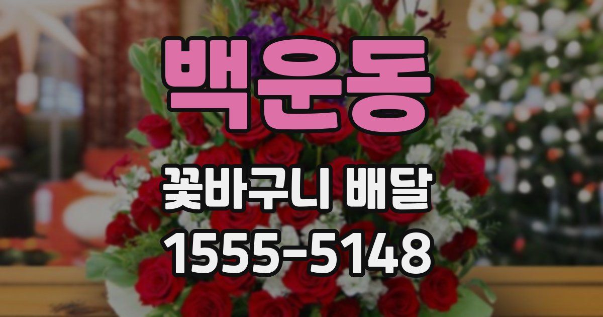 백운동 꽃바구니 배달
