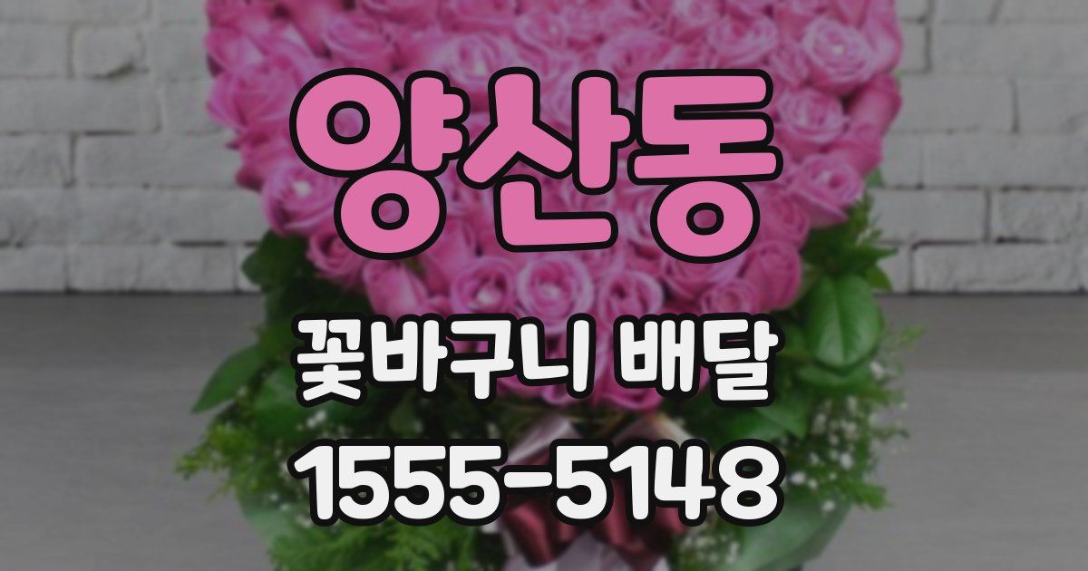 양산동 꽃바구니 배달