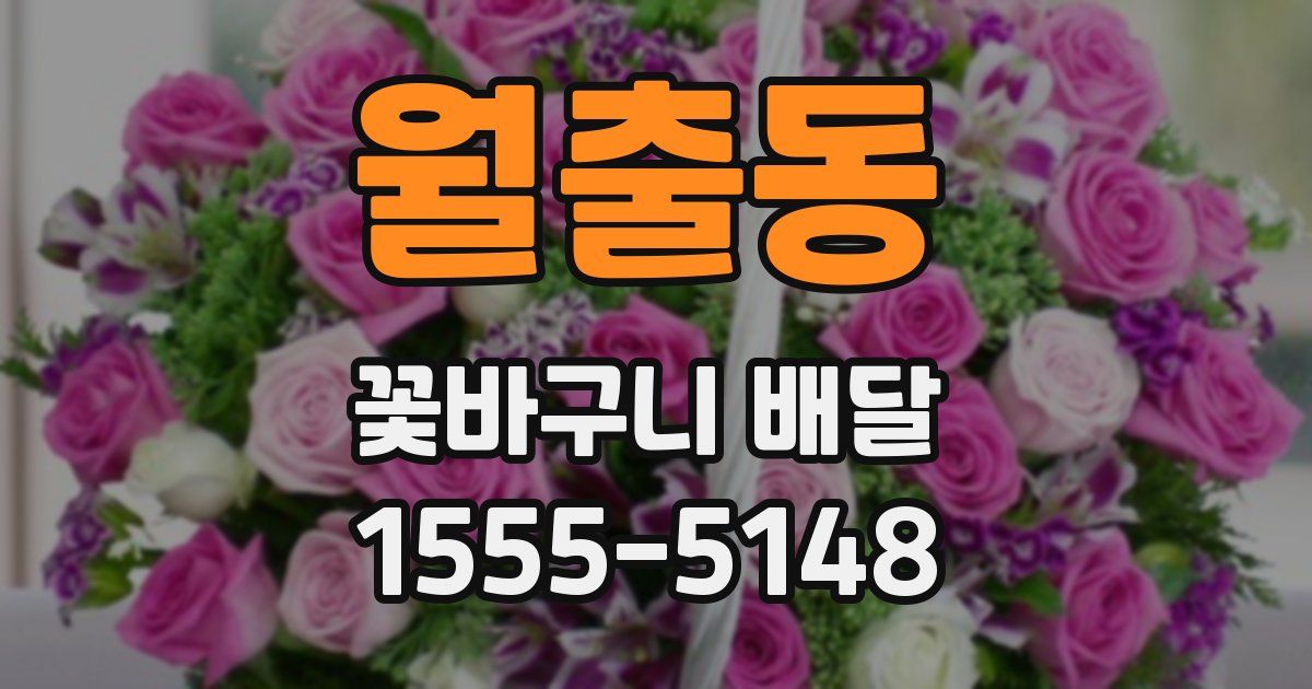 월출동 꽃바구니 배달