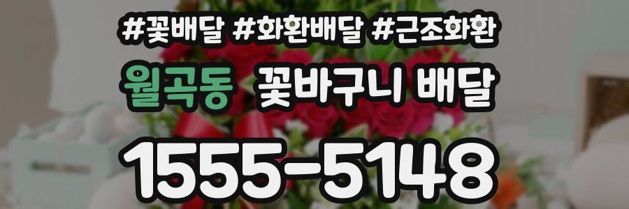 월곡동 꽃바구니 배달