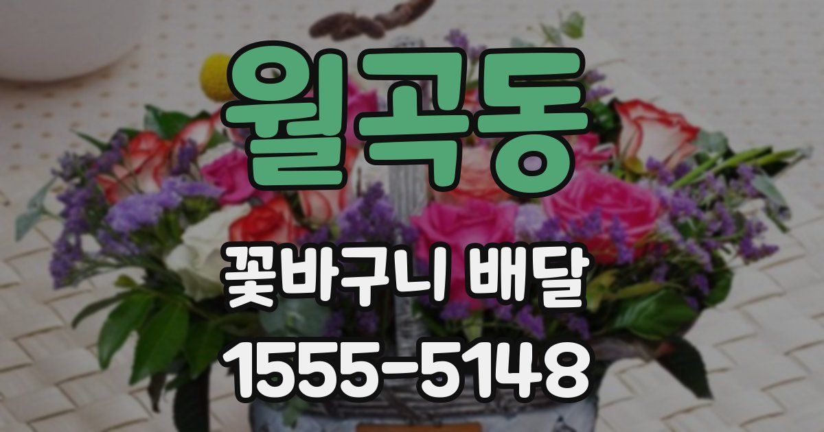 월곡동 꽃바구니 배달