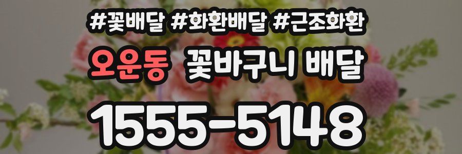 오운동 꽃바구니 배달