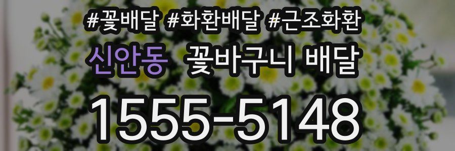 신안동 꽃바구니 배달