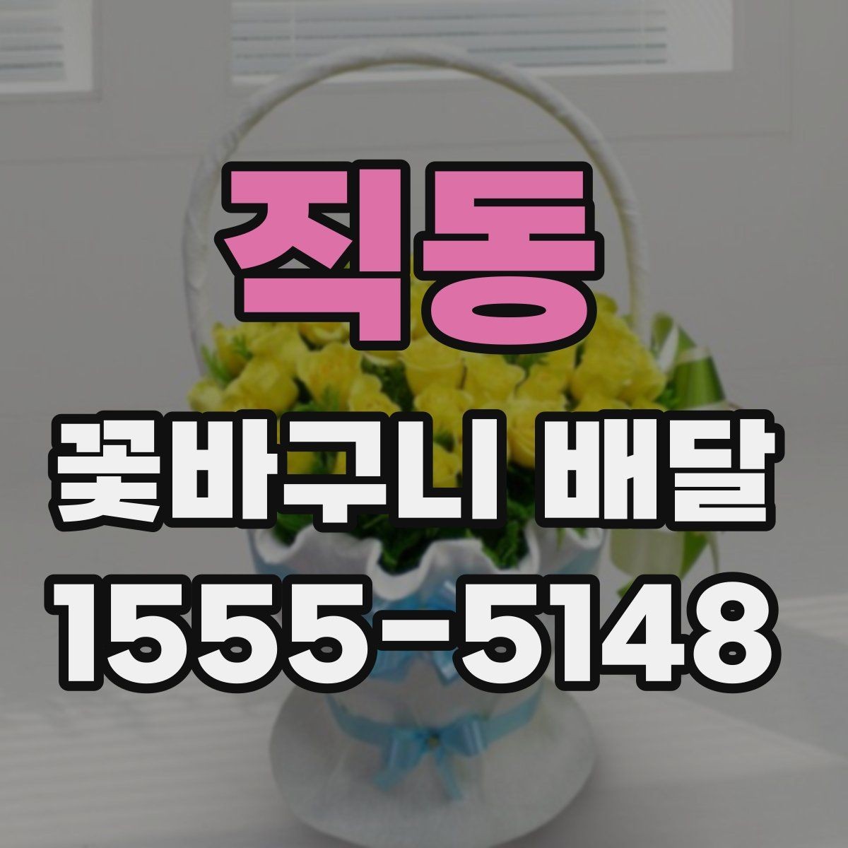 직동 꽃바구니 배달 예산별 구성 살펴보기