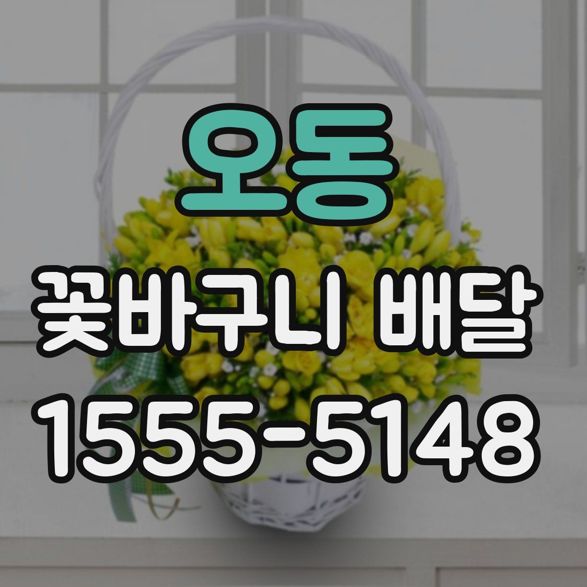 오동 꽃바구니 배달