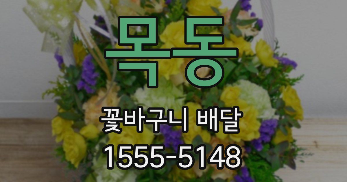목동 꽃바구니 배달