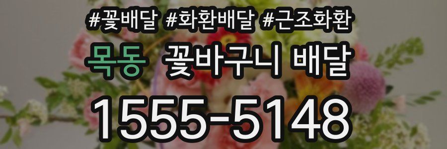 목동 꽃바구니 배달