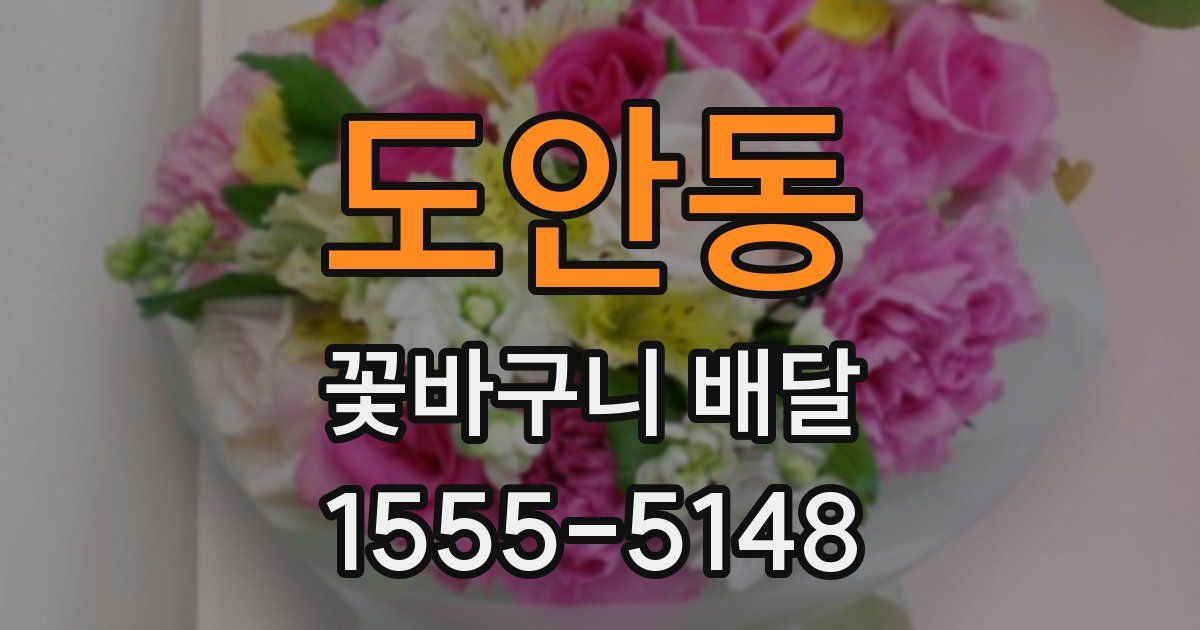 도안동 꽃바구니 배달