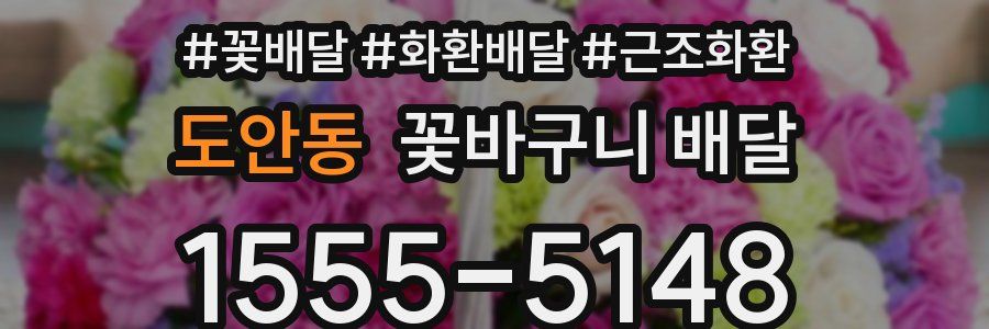 도안동 꽃바구니 배달