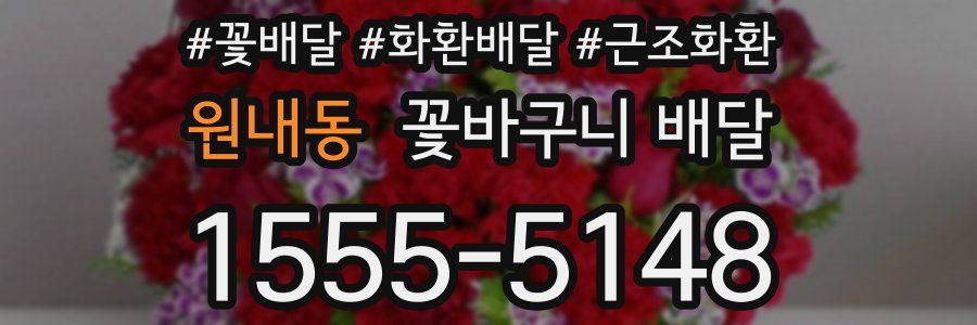원내동 꽃바구니 배달