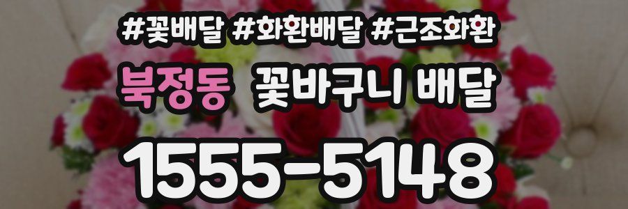 북정동 꽃바구니 배달