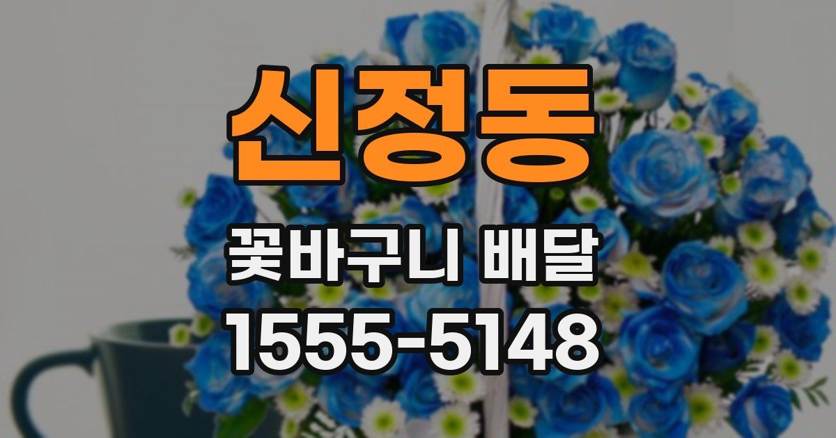 신정동 꽃바구니 배달