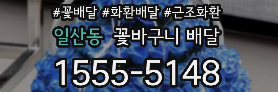 일산동 꽃바구니 배달