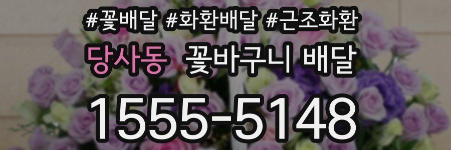 당사동 꽃바구니 배달