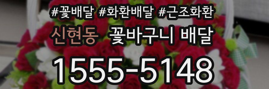 신현동 꽃바구니 배달