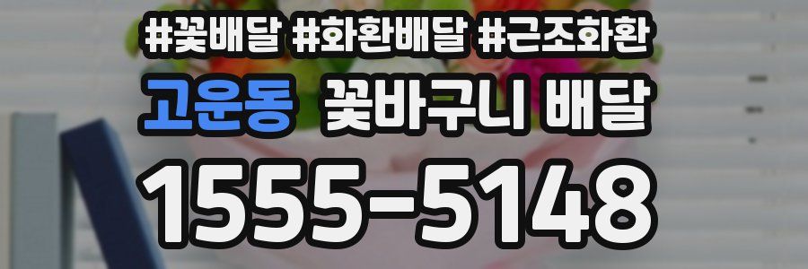 고운동 꽃바구니 배달