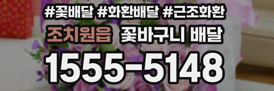 조치원읍 꽃바구니 배달