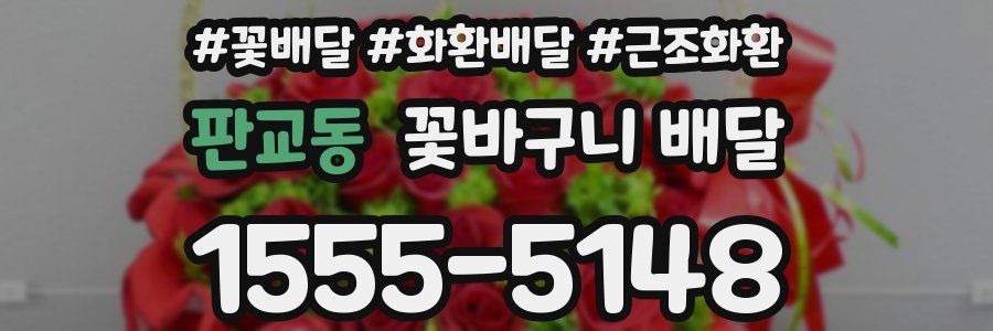 판교동 꽃바구니 배달