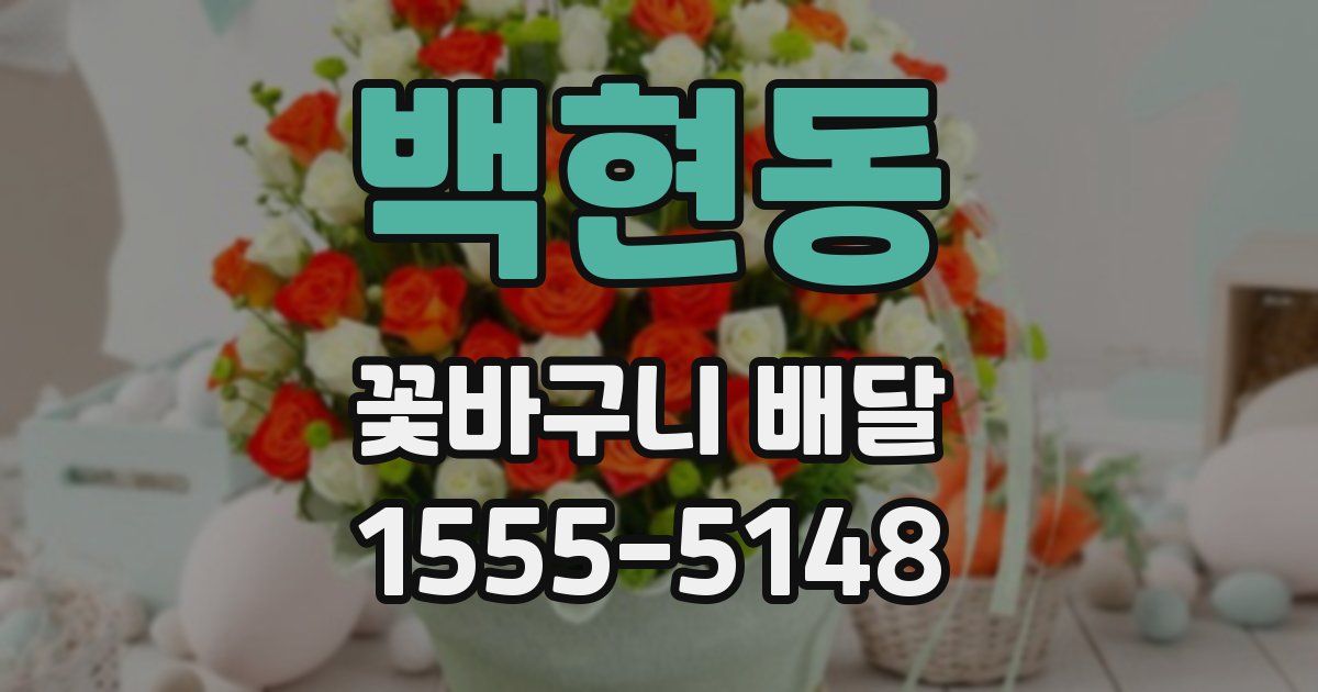 백현동 꽃바구니 배달