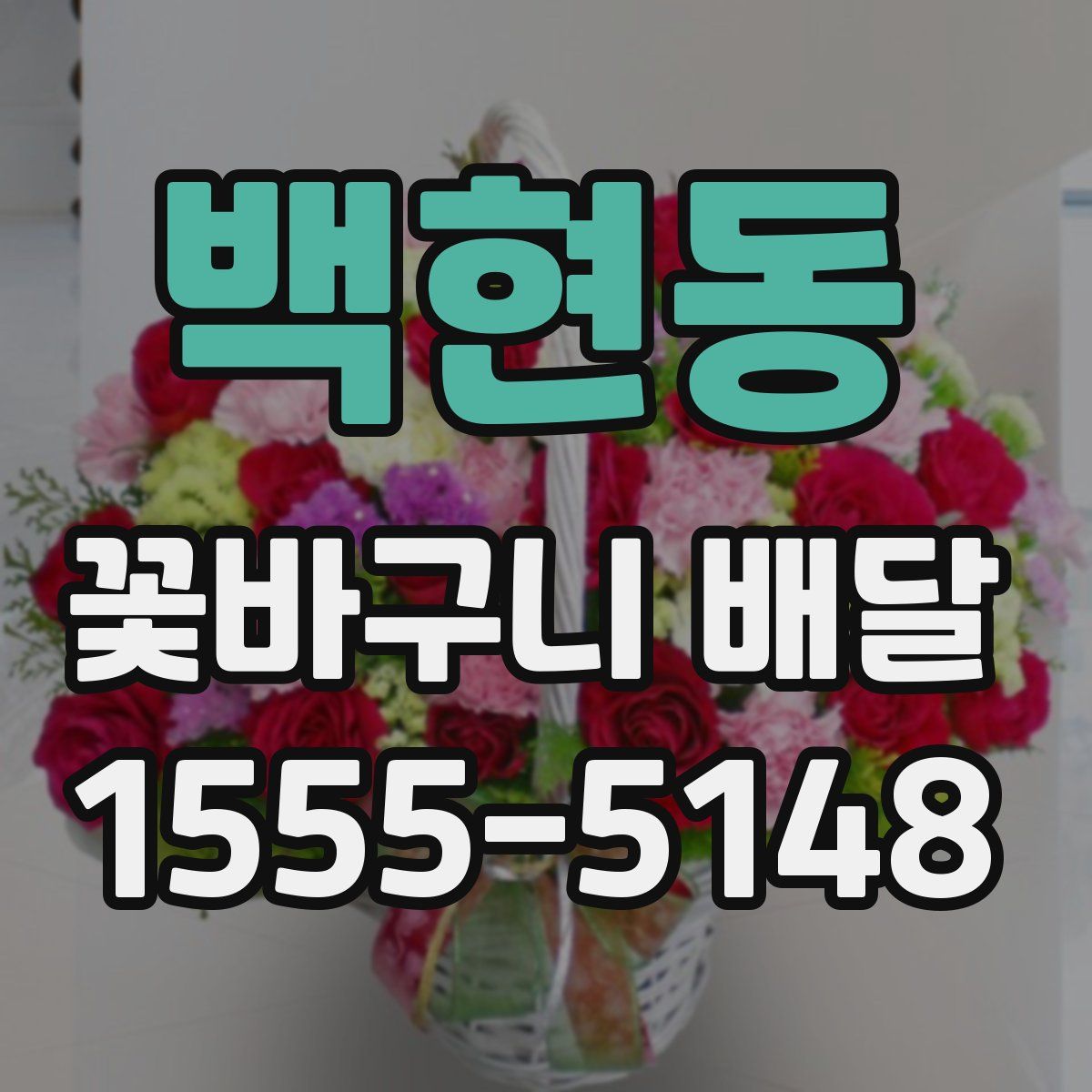 백현동 꽃바구니 배달