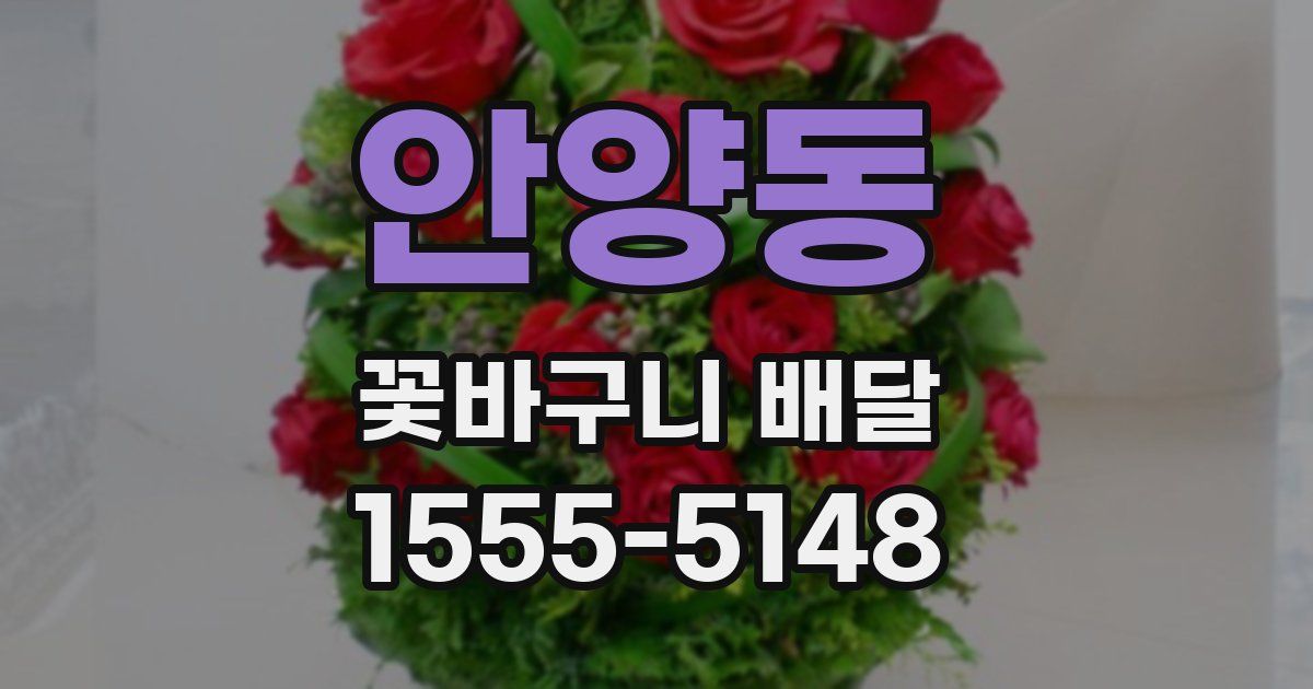 안양동 꽃바구니 배달
