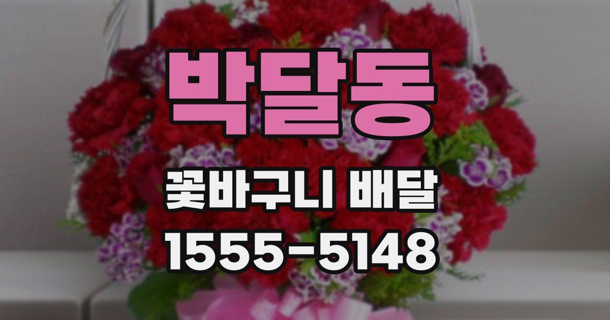 박달동 꽃바구니 배달