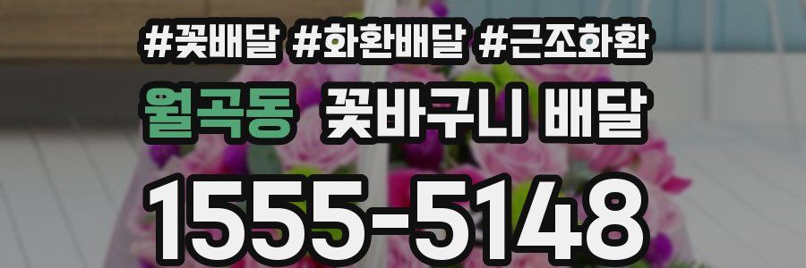 월곡동 꽃바구니 배달