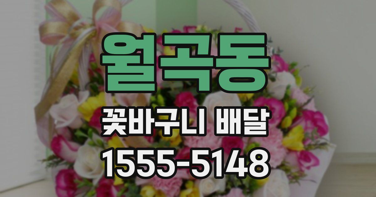 월곡동 꽃바구니 배달