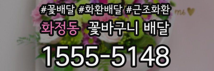 화정동 꽃바구니 배달