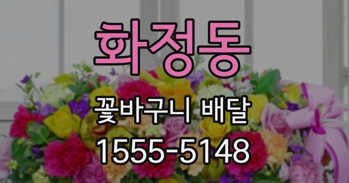 화정동 꽃바구니 배달