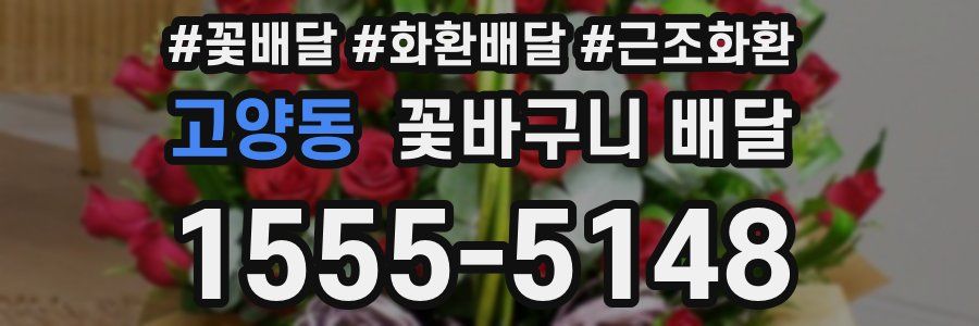 고양동 꽃바구니 배달
