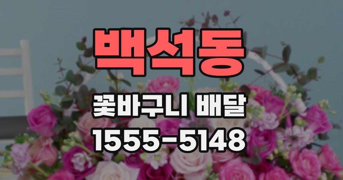 백석동 꽃바구니 배달