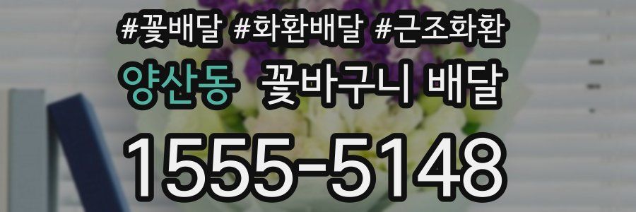 양산동 꽃바구니 배달