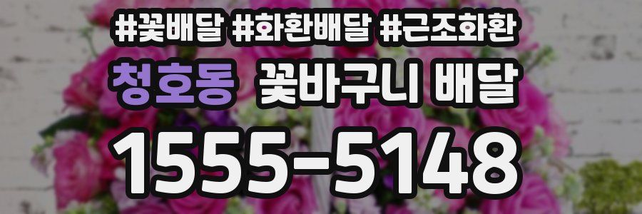 청호동 꽃바구니 배달